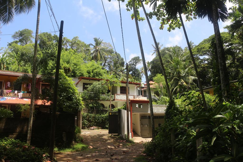 Jungle Guest House Galle Kültér fotó