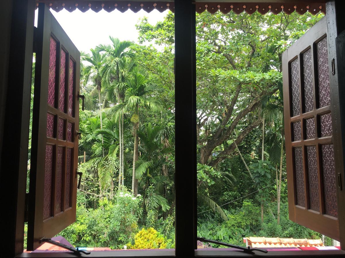 Jungle Guest House Galle Kültér fotó